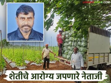 अल्पभूधारक शेतकरी नेताजी झाला सहा एकर जमिनीचा मालक; शेतीतून अजून काय मिळविले? वाचा सविस्तर - Marathi News | Netaji, a small landholder farmer, became the owner of six acres of land; What else did he gain from agriculture? Read in detail | Latest News at Lokmat.com