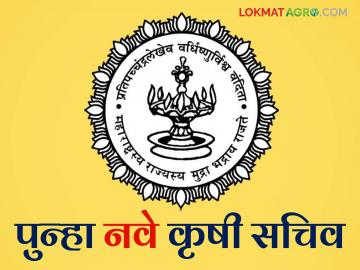 राज्यातील आठ आयएएस अधिकाऱ्यांच्या बदल्या; कृषी व पशुसंवर्धनला पुन्हा नवे सचिव - Marathi News | Eight IAS officers transferred in the state; New Secretary for Agriculture and Animal Husbandry | Latest News at Lokmat.com