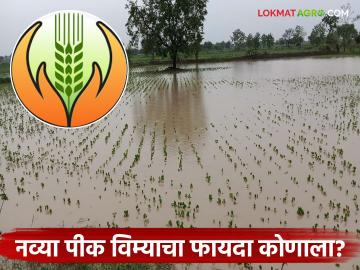 Pik Vima Yojana : नवी पीक विमा योजना कुचकामी; अतिवृष्टी, पुराचे संरक्षण रद्द वाचा सविस्तर - Marathi News | latest news Pik Vima Yojana: New crop insurance scheme ineffective; Heavy rain, flood protection cancelled Read in detail | Latest News at Lokmat.com Pik Vima Yojana : नवी पीक विमा योजना कुचकामी; अतिवृष्टी, पुराचे संरक्षण रद्द वाचा सविस्तर - Marathi News | latest news Pik Vima Yojana: New crop insurance scheme ineffective; Heavy rain, flood protection cancelled Read in detail | Latest News at Lokmat.com