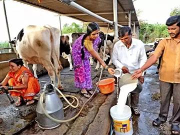 दुग्ध व्यवसाय करणाऱ्या महिला बचत गटांना मिळणार अनुदान, काय आहे पात्रता ? - Marathi News | Women self-help groups doing dairy business will get subsidy, what is the eligibility? | Latest News at Lokmat.com
