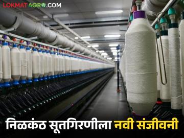 Nilkanth Spinning Mill : निळकंठ सूतगिरणीला नवी संजीवनी; विदर्भाच्या कापूस उत्पादकांना नवा आधार - Marathi News | latest news Nilkanth Spinning Mill: New lifeline for Nilkanth Spinning Mill; New support for cotton producers of Vidarbha | Latest News at Lokmat.com