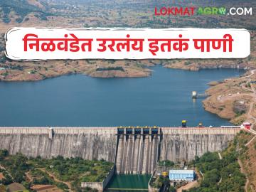 निळवंडेत राहिला १९, तर भंडारदरा धरणात ३५ टक्के उपयुक्त पाणीसाठा - Marathi News | 19 per cent of usable water remained in Nilwande, while 35 per cent of usable water in Bhandardara dam | Latest News at Lokmat.com