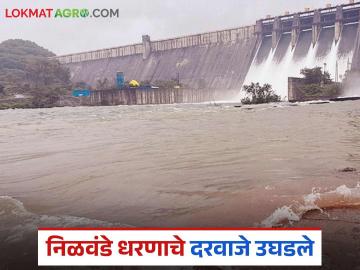 निळवंडे धरणातून १२ हजार क्युसेकने विसर्ग, प्रवरा नदीला पूर; नदी काठच्या गावांना सतर्कतेचा इशारा - Marathi News | 12 thousand cusecs released from Nilwande dam, flooding Pravara river; Alert issued to villages along the river | Latest News at Lokmat.com