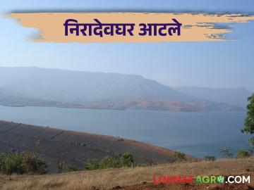 Nira Deoghar Dam निरादेवघर धरणात फक्त ८ टक्के पाणीसाठा - Marathi News | Nira Deoghar Dam Only 8 percent water storage in Nira Deoghar Dam | Latest News at Lokmat.com
