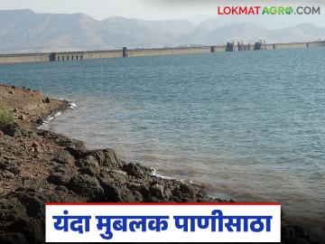 गतवर्षीच्या तुलनेत भाटघर व नीरा देवघर धरणात किती पाणीसाठा; यंदा शेतीला पाणी मिळणार का? - Marathi News | How much water is stored in Bhatghar and Neera Deoghar dams compared to last year; Will agriculture get water this year? | Latest News at Lokmat.com