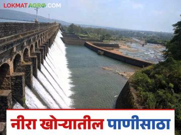 नीरा खोऱ्यातील धरणांत मागील वर्षापेक्षा जास्त पाणी; शेतीला मिळणार उन्हाळी पाणी - Marathi News | More water in dams in Nira Valley than last year; Agriculture will get summer water | Latest News at Lokmat.com