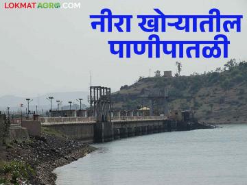 मागील वर्षीच्या तुलनेत यावर्षी नीरा खोऱ्यातील धरणसाठ्यामध्ये किती टक्क्यांनी वाढ - Marathi News | What is the percentage increase in the dam in Neera valley this year as compared to last year? | Latest News at Lokmat.com मागील वर्षीच्या तुलनेत यावर्षी नीरा खोऱ्यातील धरणसाठ्यामध्ये किती टक्क्यांनी वाढ - Marathi News | What is the percentage increase in the dam in Neera valley this year as compared to last year? | Latest News at Lokmat.com