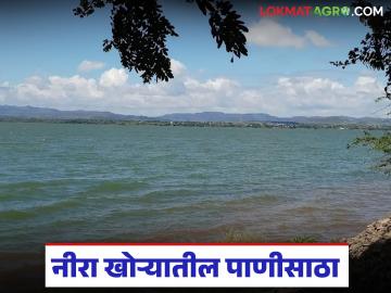 यंदा उन्हाळ्यात शेतीला पाणी पुरणार; नीरा खोऱ्यातील चारही धरणांत उरला किती पाणीसाठा? - Marathi News | Will there be enough water for agriculture this summer? How much water is left in all four dams in the Nira Valley? | Latest weather News at Lokmat.com