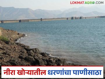 नीरा खोऱ्यातील भाटघर, नीरा-देवघर, वीर, गुंजवणी धरणात किती पाणीसाठा; जाणून घ्या सविस्तर - Marathi News | How much water is stored in Bhatghar, Nira-Deoghar, Veer, Gunjawani dams in Nira valley; Know in detail | Latest News at Lokmat.com नीरा खोऱ्यातील भाटघर, नीरा-देवघर, वीर, गुंजवणी धरणात किती पाणीसाठा; जाणून घ्या सविस्तर - Marathi News | How much water is stored in Bhatghar, Nira-Deoghar, Veer, Gunjawani dams in Nira valley; Know in detail | Latest News at Lokmat.com