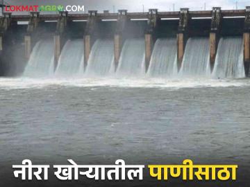 निरा खोऱ्यातील धरणांत झाला किती पाणीसाठा? वाचा सविस्तर - Marathi News | Read more about how much water is stored in the dams in Nira Valley | Latest News at Lokmat.com
