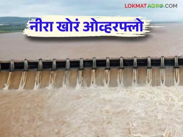 Nira Valley Dams Water Level : नीरा खोऱ्यातील चार धरणांतून ६० टीएमसीचा विसर्ग - Marathi News | Nira Valley Dams Water Level : Discharge of 60 TMC from four dams in Nira Valley | Latest News at Lokmat.com