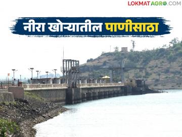 वीर धरणात मुबलक पाणीसाठा; नीरा डावा व उजवा कॅनॉलला किती दिवस मिळणार पाणी? - Marathi News | Abundant water storage in Veer Dam; How long will the Neera Left and Right Canals get water? | Latest News at Lokmat.com