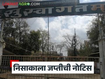 Agriculture News : नाशिक जिल्ह्यातील 'या' साखर कारखान्याला जप्तीची नोटीस, वाचा सविस्तर - Marathi News | Latest News Confiscation notice issued to niphad sakhar karkhana in Nashik district, read in detail | Latest News at Lokmat.com Agriculture News : नाशिक जिल्ह्यातील 'या' साखर कारखान्याला जप्तीची नोटीस, वाचा सविस्तर - Marathi News | Latest News Confiscation notice issued to niphad sakhar karkhana in Nashik district, read in detail | Latest News at Lokmat.com