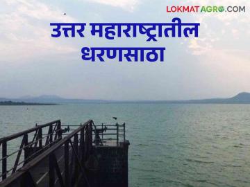 Maharashtra Dam Storage : उत्तर महाराष्ट्रातील कुठलं धरण किती टक्क्यांवर, जाणून घ्या सविस्तर - Marathi News | Latest News Maharashtra Dam Storage How much percentage of dams in North Maharashtra, know in detail | Latest News at Lokmat.com