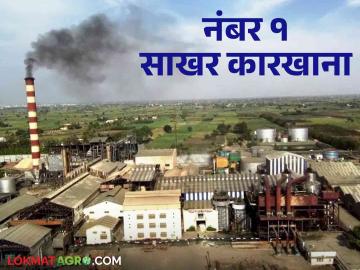 Best Sugar Factory : उच्चांकी गाळप व दरामुळे हा कारखाना ठरला राज्यातील बेस्ट शुगर फॅक्टरी - Marathi News | Best Sugar Factory : This factory became the best sugar factory in the state due to its high quality and sugarcane rate | Latest News at Lokmat.com Best Sugar Factory : उच्चांकी गाळप व दरामुळे हा कारखाना ठरला राज्यातील बेस्ट शुगर फॅक्टरी - Marathi News | Best Sugar Factory : This factory became the best sugar factory in the state due to its high quality and sugarcane rate | Latest News at Lokmat.com