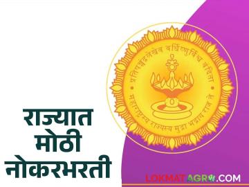 राज्यात ७० हजार पदांसाठी लवकरच नोकरभरती; कोणती शासकीय संस्था किती पदे भरणार? - Marathi News | Recruitment for 70,000 posts in the state soon; How many posts will be filled by which government organization? | Latest News at Lokmat.com