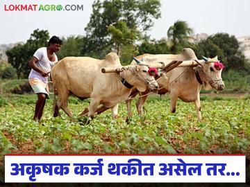 तर महाडीबीटीसह इतर शेतकरी योजनांचे अनुदान मिळणे बंद होईल, काय आहे कारण?  - Marathi News | Latest News Farmers' accounts become NPAs due to outstanding non-agricultural loans, mahdbt subsidy also stops | Latest News at Lokmat.com