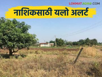 Nashik Rain : नाशिक जिल्ह्याला यलो अलर्ट, पुढील चार दिवस पावसाची शक्यता, वाचा सविस्तर  - Marathi News | Latest News Nashik rain Yellow alert for Nashik district, possibility of rain for the next four days, read in detail | Latest News at Lokmat.com