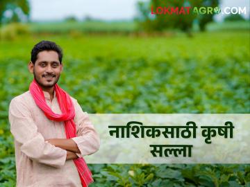 Nashik Rain Update : नाशिक जिल्ह्यात हलका ते मध्यम पावसाची शक्यता, शेतकऱ्यांना पेरणीबाबत आवाहन  - Marathi News | Latest News Chance of light to moderate rain in Nashik district, appeal to farmers regarding sowing  | Latest News at Lokmat.com