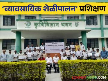 Goat Farming : शेळी व्यवसायात व्यवस्थापनाचे तंत्र महत्वाचे, नाशिक मुक्त विद्यापीठात प्रशिक्षण  - Marathi News | Latest news Goat Farming Management techniques important in goat business, training at Nashik Open University  | Latest News at Lokmat.com
