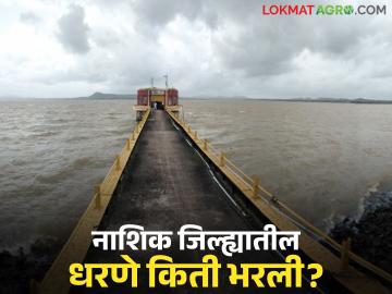 नाशिक जिल्ह्यातील 'ही' 13 धरणे काठोकाठ भरली, तर जायकवाडीकडे 42 टीएमसी पाणी गेले  - Marathi News | Latest news Nashik dam storage 13 dams 100 percent full in Nashik district and 42 TMC of water went to Jayakwadi dam | Latest News at Lokmat.com