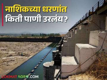 Nashik Dam Storage : नाशिक जिल्ह्यातील सात धरणे झाली कोरडी, नेमकं किती पाणी शिल्लक?  - Marathi News | latest news Seven dams in Nashik district have gone dry, see dam storage | Latest News at Lokmat.com