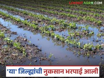 जून आणि ऑगस्ट महिन्यातील अतिवृष्टीमुळे नुकसान झालेल्या 'या' जिल्ह्यांची मदत आली - Marathi News | Latest news Nuksan Bharpai Help arrived for these districts were crops damaged by heavy rains in June and August | Latest News at Lokmat.com