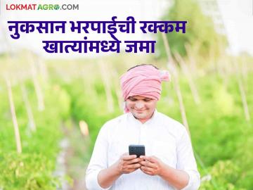 Crop Insurance : शेतकऱ्यांच्या खात्यात जमा होतेय नुकसानीची रक्कम  - Marathi News | Crop Insurance: The amount of loss is credited to the farmer's account  | Latest News at Lokmat.com