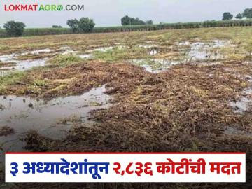 Nuksan Bharpayee : ३ अध्यादेशांतून मराठवाड्याला २८३६ कोटींचा दिलासा; संभाजीनगरची मदत प्रलंबित - Marathi News | latest news Nuksan Bharpayee: 2836 crores relief for Marathwada through 3 ordinances; Sambhajinagar's help pending | Latest News at Lokmat.com