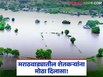 Nuksan Bharpayee : शेतकऱ्यांना दिलासा! रब्बी बियाण्यांसाठी तब्बल ४ हजार कोटींचा मदतनिधी वाचा सविस्तर - Marathi News | latest news Nuksan Bharpayee: Relief for farmers! A relief fund of Rs 4 thousand crores for Rabi seeds read in details | Latest News at Lokmat.com