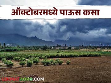 Maharashtra weather Update : ऑक्टोबरच्या पहिल्या पंधरवड्यात पावसाचा अंदाज काय? जाणून घ्या सविस्तर - Marathi News | Maharashtra weather update : Why has rain activity reduced in the first fortnight of October? Know in detail | Latest News at Lokmat.com