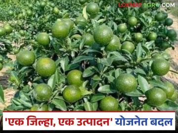 ODOP Scheme : मोठा बदल! 'एक जिल्हा, एक उत्पादन' योजनेत अन्नप्रक्रिया उद्योगांसाठी नवे दरवाजे खुले वाचा सविस्तर - Marathi News | latest news ODOP Scheme: Big change! New doors open for food processing industries in 'One District, One Product' scheme Read in detail | Latest News at Lokmat.com