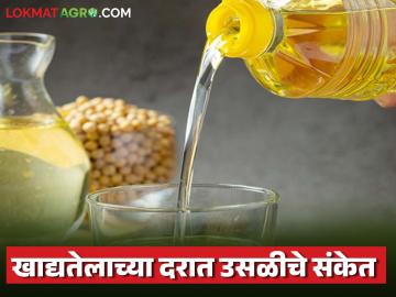 Edible Oil Import Duty : आयात शुल्क वाढीची शक्यता; खाद्यतेल महागणार पण सोयाबीन उत्पादकांना मिळू शकतो दिलासा! - Marathi News | latest news Edible Oil Import Duty: Import duty likely to increase; Edible oil will become more expensive but soybean producers may get relief! | Latest News at Lokmat.com