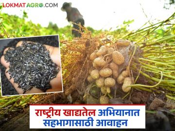 Agriculture News : राष्ट्रीय खाद्यतेल अभियानात सहभागी व्हायचंय, असा अर्ज करा, वाचा सविस्तर - Marathi News | Latest news agriculture News participate in National Edible Oil Campaign, apply, read in detail | Latest News at Lokmat.com