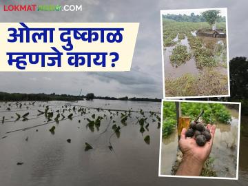 Ola Dushkal : ओला दुष्काळ कधी जाहीर करतात, त्याचे निकष काय आहेत, वाचा सविस्तर - Marathi News | Latest News Ola dushkal When is wet drought declared, what are criteria, read in detail | Latest News at Lokmat.com Ola Dushkal : ओला दुष्काळ कधी जाहीर करतात, त्याचे निकष काय आहेत, वाचा सविस्तर - Marathi News | Latest News Ola dushkal When is wet drought declared, what are criteria, read in detail | Latest News at Lokmat.com