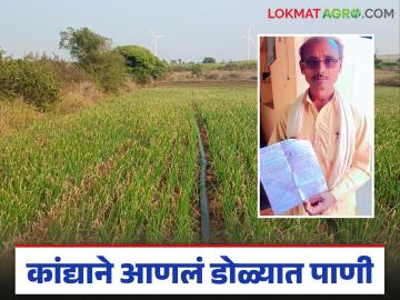 बेलवाडीच्या शेतकऱ्याच्या कांद्याची करुण गाथा; १.३७ लाखांचा खर्च, अन् हाती आले फक्त ८ हजार बेलवाडीच्या शेतकऱ्याच्या कांद्याची करुण गाथा; १.३७ लाखांचा खर्च, अन् हाती आले फक्त ८ हजार