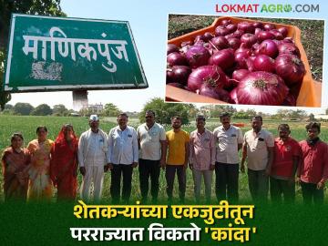 कांदा उत्पादकांच्या एकजुटीला यश; माणिकपुंज परिसरातील शेतकऱ्यांनी धरली प्रगत शेतीतून परराज्यातील बाजारांची वाट - Marathi News | Unity of onion producers a success; Farmers from Manikpunj area have taken the path of foreign markets through advanced agriculture | Latest News at Lokmat.com कांदा उत्पादकांच्या एकजुटीला यश; माणिकपुंज परिसरातील शेतकऱ्यांनी धरली प्रगत शेतीतून परराज्यातील बाजारांची वाट - Marathi News | Unity of onion producers a success; Farmers from Manikpunj area have taken the path of foreign markets through advanced agriculture | Latest News at Lokmat.com