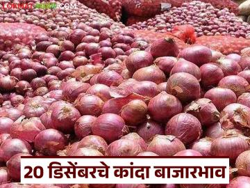 Kanda Bajarbhav : 'या' मार्केटला पोळ कांदा खातोय भाव, लाल, उन्हाळ कांद्याचे दर कसे आहेत?  - Marathi News | Latest News Kanda Bajarbhav see 20th december onion market prices in maharashtra kanda markets | Latest News at Lokmat.com