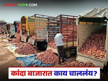Onion Market : कांदा बाजारात नेमकं काय चाललंय? जाणून घ्या सविस्तर - Marathi News | latest news Onion Market: What is really happening in the onion market? Find out in detail | Latest News at Lokmat.com