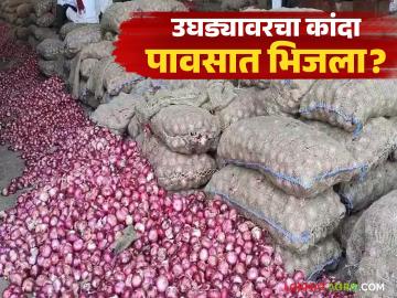 Onion Market : अचानक पावसाची हजेरी; शेतकऱ्यांचा कांदा भिजला, दरातही घट वाचा सविस्तर - Marathi News | latest news Onion Market: Sudden rains; Farmers' onions get soaked, prices continue to fall | Latest News at Lokmat.com