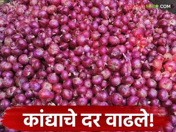 Kanda BajarBhav : शेतकऱ्यांना रडविल्यानंतर कांदा होतोय किमतीत 'लाल'; जाणून घ्या बाजारभाव सविस्तर - Marathi News | latest news Kanda BajarBhav: After making farmers cry, onion prices are going 'red'; Know the market price in detail | Latest News at Lokmat.com Kanda BajarBhav : शेतकऱ्यांना रडविल्यानंतर कांदा होतोय किमतीत 'लाल'; जाणून घ्या बाजारभाव सविस्तर - Marathi News | latest news Kanda BajarBhav: After making farmers cry, onion prices are going 'red'; Know the market price in detail | Latest News at Lokmat.com