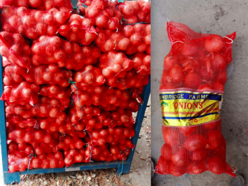 कांदा टिकविण्यासाठी लासलगावी विकिरण प्रक्रिया केंद्र - Marathi News | Lasalgavi Irradiation Processing Center for onion preservation | Latest News at Lokmat.com कांदा टिकविण्यासाठी लासलगावी विकिरण प्रक्रिया केंद्र - Marathi News | Lasalgavi Irradiation Processing Center for onion preservation | Latest News at Lokmat.com