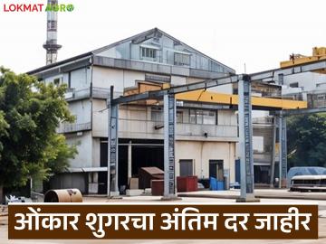 ओंकार शुगर ग्रुपचा मार्च व एप्रिलसाठी ऊस दर जाहीर; किती रुपयाने देणार पेमेंट? - Marathi News | Omkar Sugar Group announces sugarcane prices for March and April; How much will be paid? | Latest News at Lokmat.com