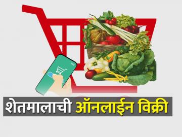 शेतमाल ऑनलाईन विक्री करायचाय, यासाठी आवश्यक बाबी कोणत्या? - Marathi News | What to do if you want to sell agricultural products online? | Latest agriculture News at Lokmat.com