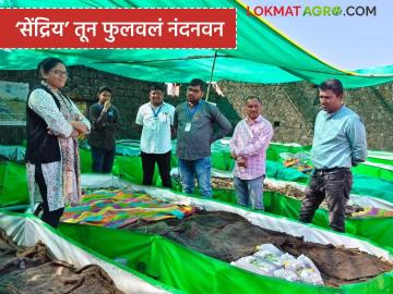 Farmer Success Story: नोकरी सोडली, निसर्ग स्वीकारला; पंजाब राजेंनी सेंद्रिय शेतीत रचली यशोगाथा - Marathi News | latest news Farmer Success Story: Quit job, embraced nature; Punjab kings create success story in organic farming | Latest success-story News at Lokmat.com