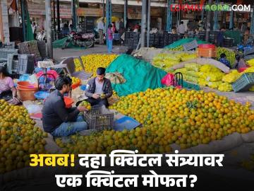 Orange Market : अबब! दहा क्विंटल संत्र्यावर एक क्विंटल मोफत; 'वायभार'च्या नावाखाली संत्रा उत्पादकांची लूट - Marathi News | latest news Orange Market: What! One quintal free for ten quintals of oranges; Orange growers looted in the name of 'Vai Bhar' | Latest News at Lokmat.com