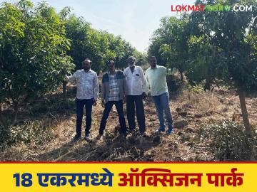 Agriculture News : 14 एकर शेतात कसं उभं राहिलं ऑक्सिजन पार्क, जाणून घ्या सविस्तर  - Marathi News | Latest News Agriculture News How an oxygen park was built on 14-acre field, know in detail | Latest News at Lokmat.com