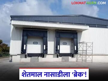 Pack House Scheme : शेतमालाचे नुकसान टाळा; 'पॅक हाऊस' उभारणीसाठी मिळणार लाखोंचे अनुदान - Marathi News | latest news Pack House Scheme: Avoid damage to agricultural produce; lakhs of subsidy will be available for construction of 'pack house' | Latest News at Lokmat.com Pack House Scheme : शेतमालाचे नुकसान टाळा; 'पॅक हाऊस' उभारणीसाठी मिळणार लाखोंचे अनुदान - Marathi News | latest news Pack House Scheme: Avoid damage to agricultural produce; lakhs of subsidy will be available for construction of 'pack house' | Latest News at Lokmat.com