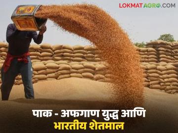 Pak-Afghan War : पाकिस्तान-अफगाणिस्तान युद्ध, भारत दोन्ही देशांना काय- काय निर्यात करतो? - Marathi News | Latest News Pakistan-Afghanistan war, what does India export to both countries, what will be the impact on exports? | Latest News at Lokmat.com