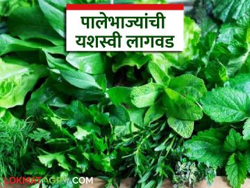 जलसंधारणाच्या माध्यमातून हिरवाईचे स्वप्न वक्टे यांनी साकारले वाचा सविस्तर - Marathi News | latest news Vakte realized the dream of greenery through water conservation. Read in detail | Latest News at Lokmat.com